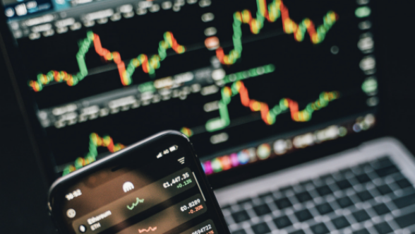 person holding a smartphone